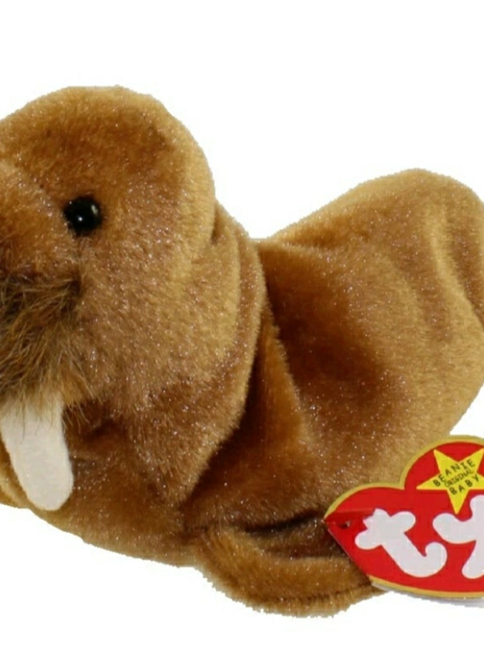 Ty Beanie Baby 7in Brown Plush Walrus Toy PAUL 1999 Never Handled Excellent